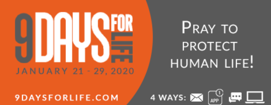 Join Catholics across the country to pray for the Sanctity of Life – 9daysforlife.com – January 21 – 29, 2020